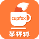 茶杯狐片子